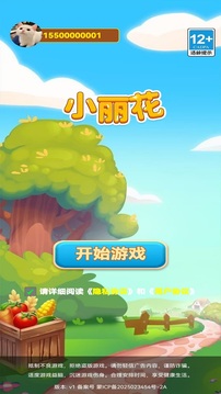 小丽花游戏截图3