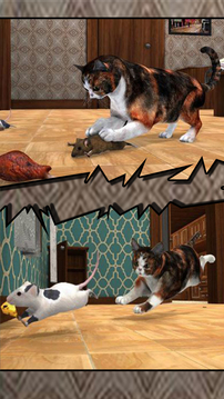 真实小猫3D模拟游戏截图3