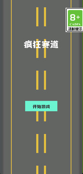 疯狂赛道游戏截图3
