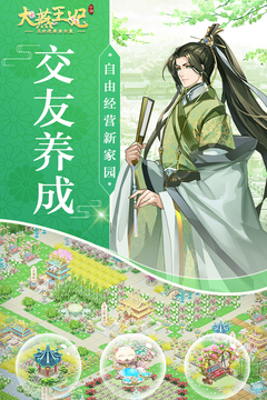 大燕王妃游戏截图4