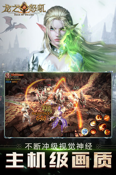 龙之怒吼游戏截图3