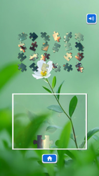 天天乐闯关游戏截图3