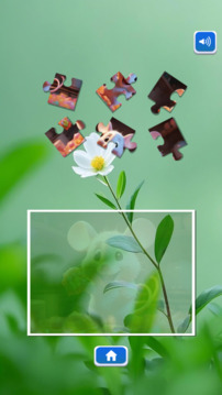 天天乐闯关游戏截图2