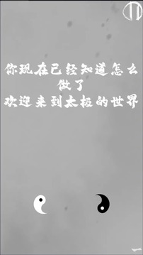 太极阴阳游戏截图2