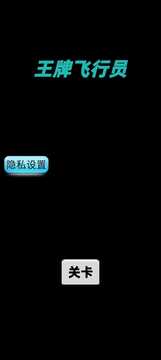 王牌飞行员游戏截图1