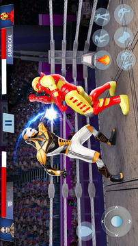 真正的机器人拳击MacArena游戏截图3