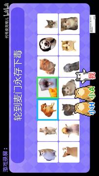 Meme的毒药游戏截图1