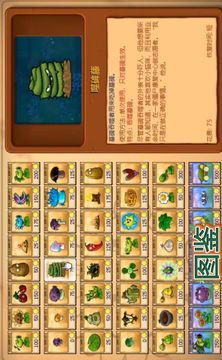 植物大战僵尸：原始时代游戏截图4