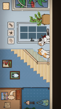 猫在家里游戏截图3