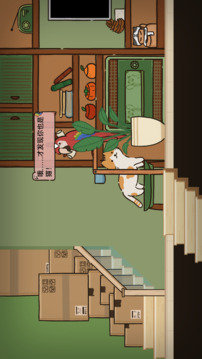 猫在家里游戏截图1