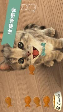 LittleKitten小猫游戏截图4