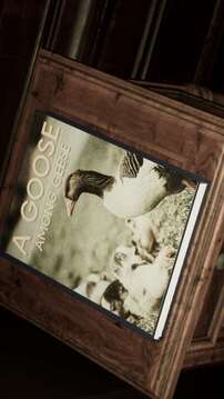 本游戏与大红按钮无关游戏截图1