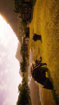 侏罗纪世界：进化游戏截图5