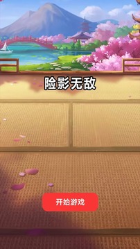 险影无敌游戏截图4