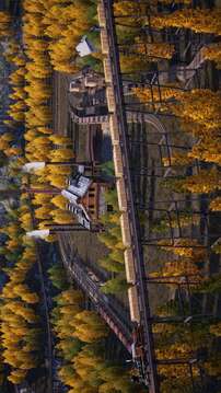 铁路在线游戏截图1