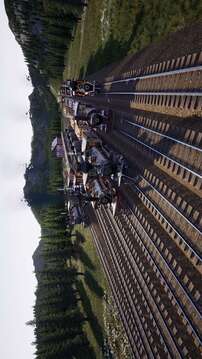 铁路在线游戏截图2