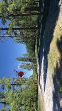 航空飞行模拟2024游戏截图3