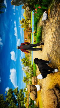 狗  小狗 宠物 农场游戏截图5