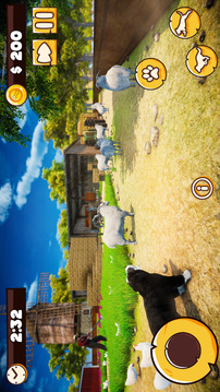 狗  小狗 宠物 农场游戏截图1