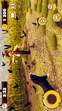 狗  小狗 宠物 农场游戏截图2