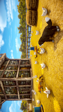 狗  小狗 宠物 农场游戏截图3