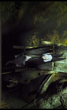 谋杀的艺术命运关卡游戏截图1