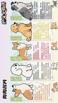 拾光犬物语游戏截图1