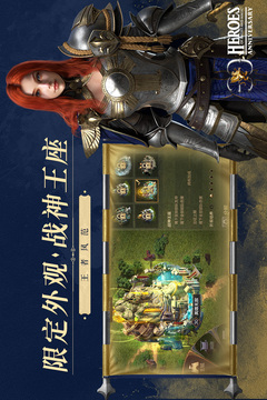 魔法门之英雄无敌：王朝游戏截图3