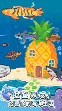 养鱼大师游戏截图5