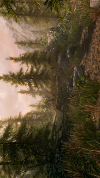 上古卷轴5：天际游戏截图2