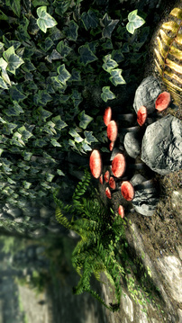 上古卷轴5：天际游戏截图3