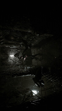 生者的回声游戏截图2