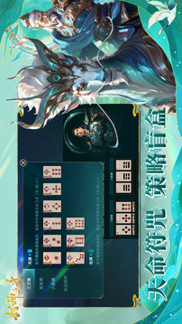 代号：神仙牌游戏截图3