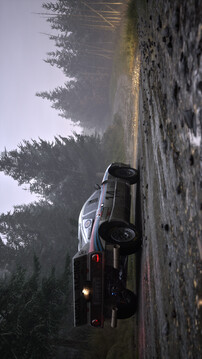 神力科莎：拉力游戏截图4