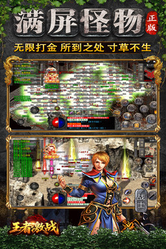 王者激战游戏截图2