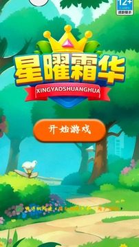 星曜霜华游戏截图2