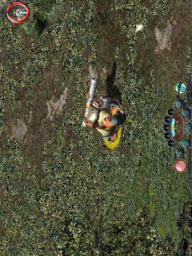 圣域黄金版游戏截图2