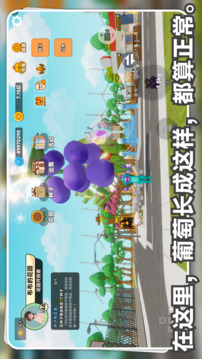 星露花园游戏截图5