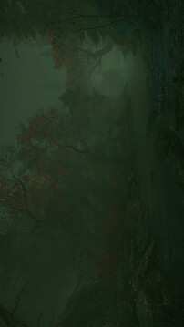 诅咒丛林游戏截图5