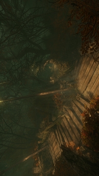 诅咒丛林游戏截图4