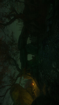 诅咒丛林游戏截图1