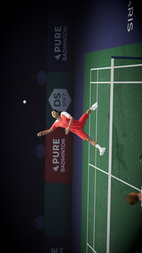 纯粹羽毛球游戏截图5