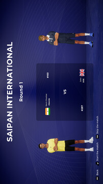 纯粹羽毛球游戏截图1