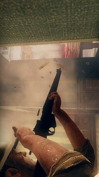 耻辱之日游戏截图1