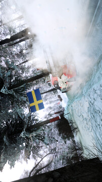 世界汽车拉力锦标赛：世代游戏截图4