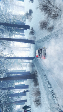 世界汽车拉力锦标赛：世代游戏截图3