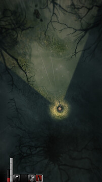 阴暗森林游戏截图5