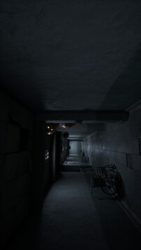 Asylum 45游戏截图3