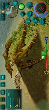 诅咒之岛游戏截图2