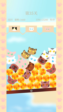 猫咪跷跷板游戏截图4